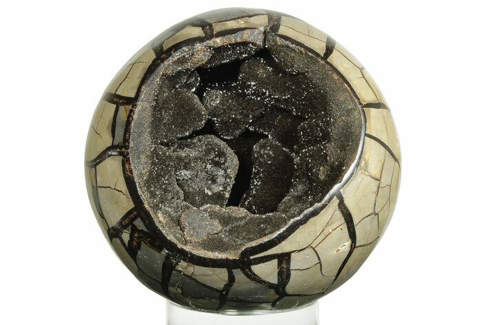 Polished, Septarian Geode Sphere - Madagascar #230418